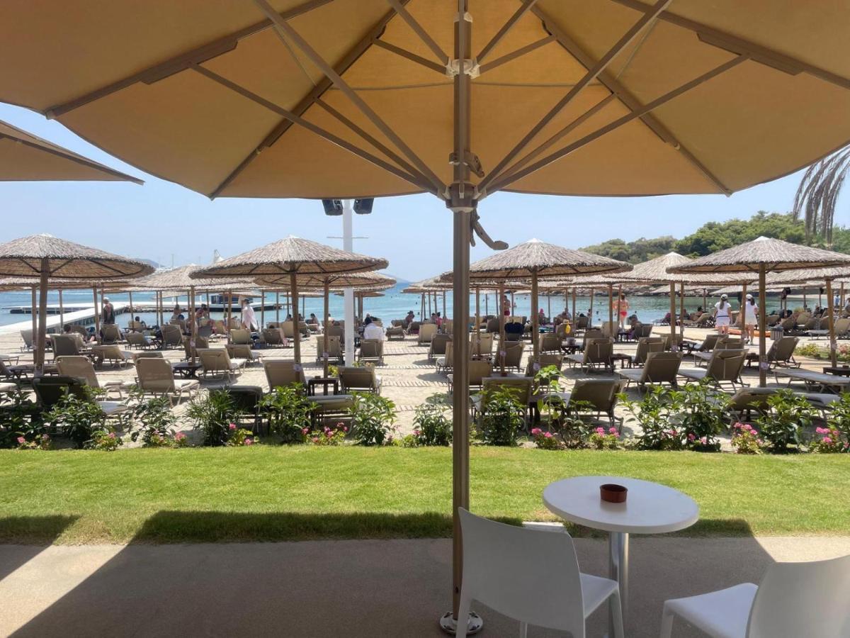 Eagles Nest Villa Athenian Riviera In Aghia Marina Near Lagonisi, Next To The Beach Close To Athens Airport Agia Marina  Extérieur photo